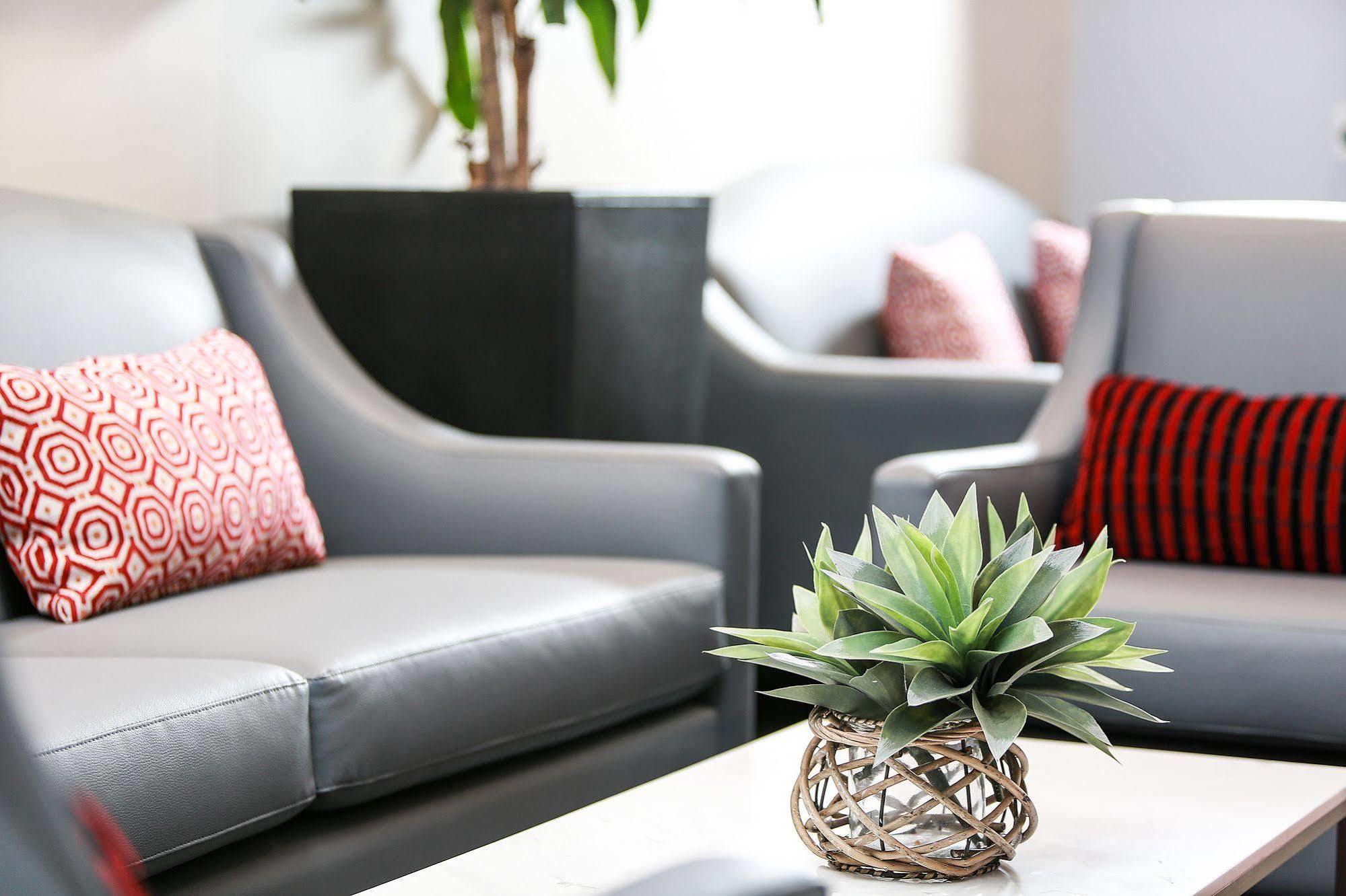Ibis Sydney World Square Hotel Ngoại thất bức ảnh